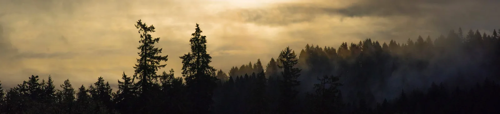 Gladstone Oregon community